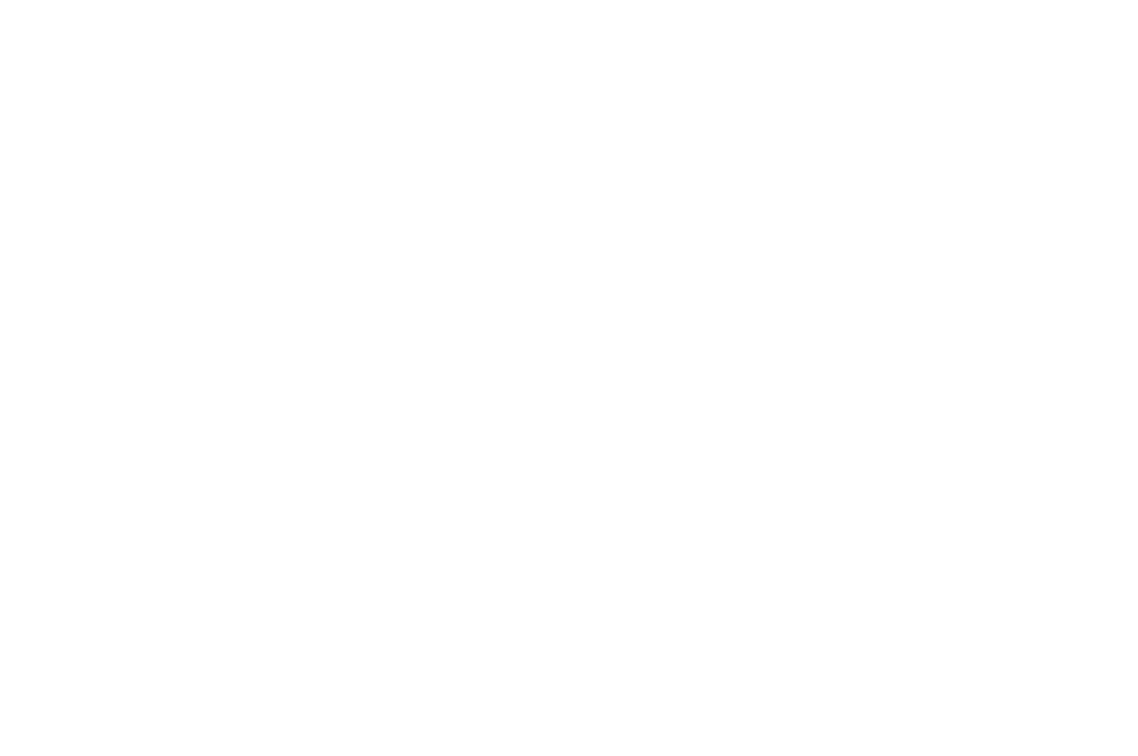 The European Union